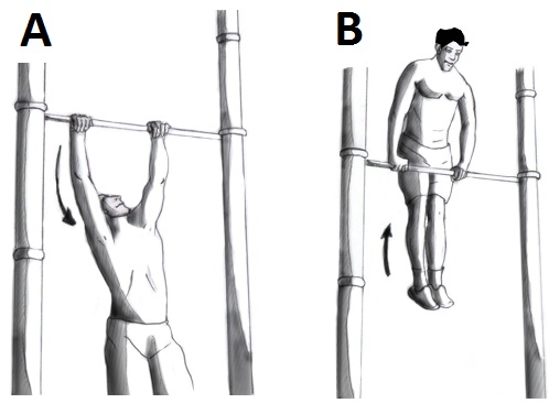 The muscle up has to be learned for 2 simple reasons. It’s a bas ass move and you’ll be pretty strong when you’re able to master this one.