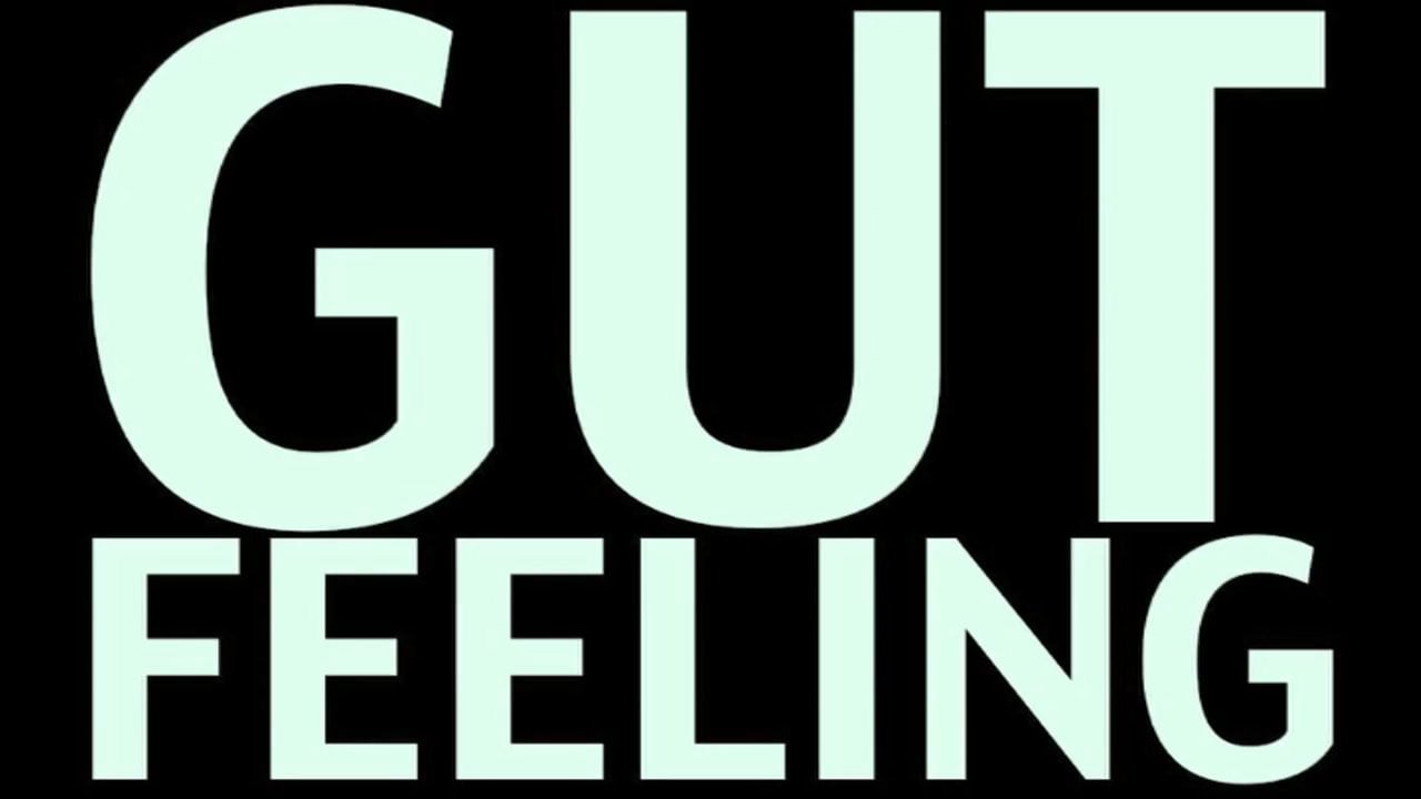 Have you ever followed your gut feeling? Most people are mostly doing the opposite of what they're supposed to do. Or they do what others tell them to do.
