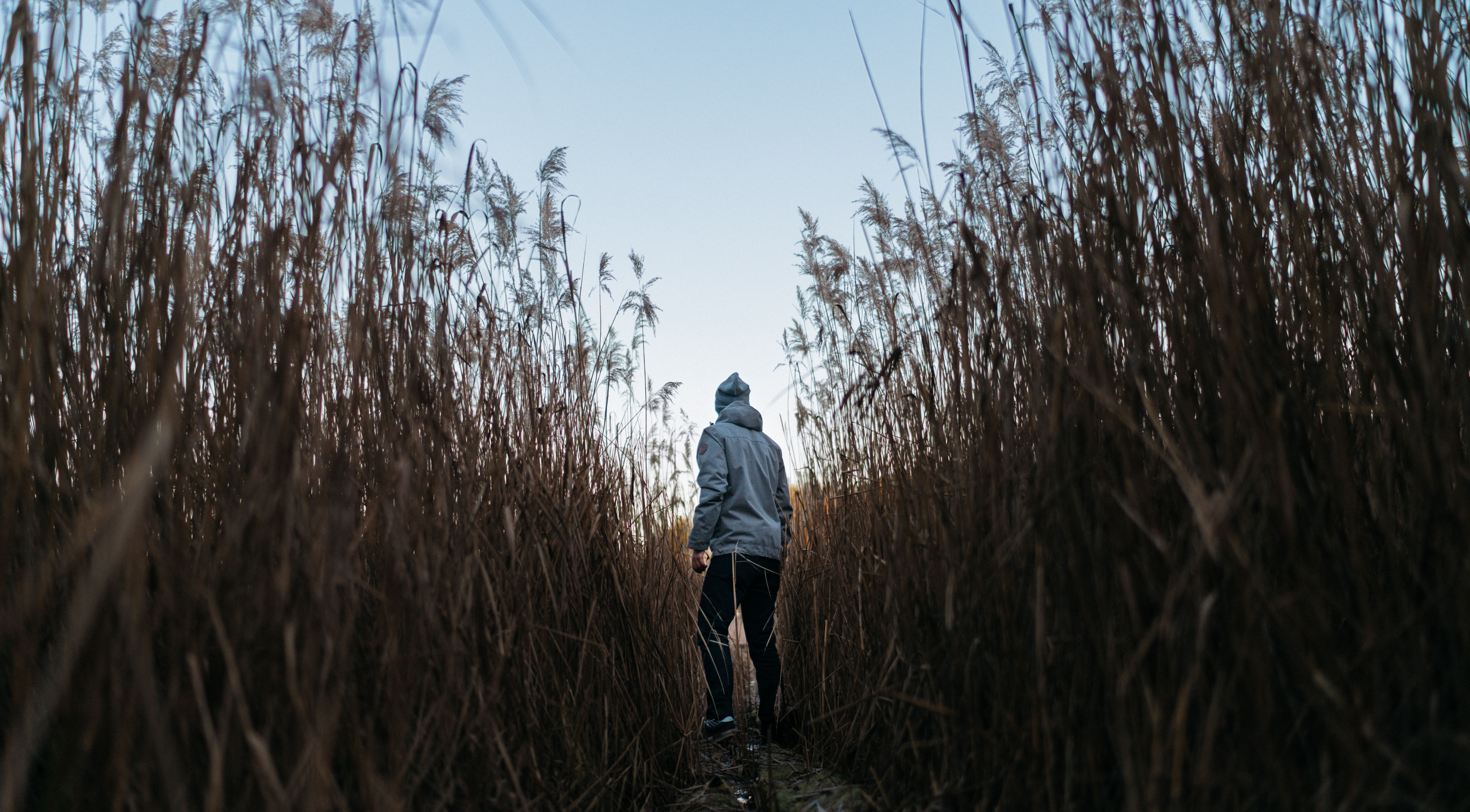 Have you ever spend some time in silence or in solitude? Maybe you've even spent time in both together. Most people would avoid this like the plague but there's actually a benefit to both of them. You see we're conditioned to link have a negative feeling towards solitude and even silence if you think about it.